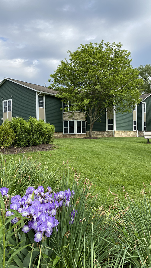 green two story building with a tree in the background and flowers and grass in the foreground