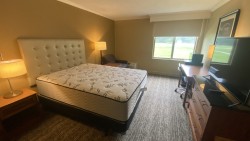 interior bedroom with green carpet