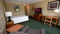 interior bedroom with green carpet