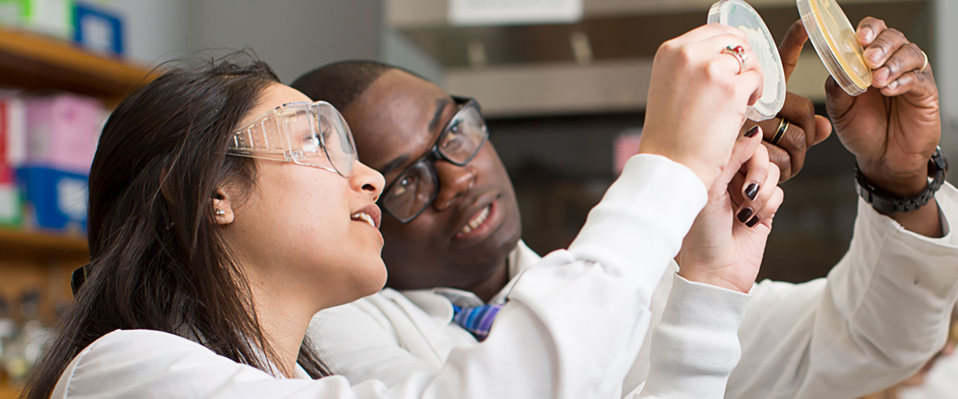 student and a researcher holding petri dishes next to each other to compare the content.