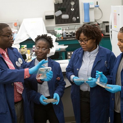 Professor and three students look at bacteria samples.