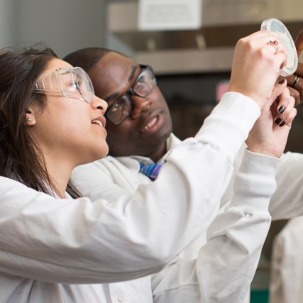 female student working with professor in biotechnology lab