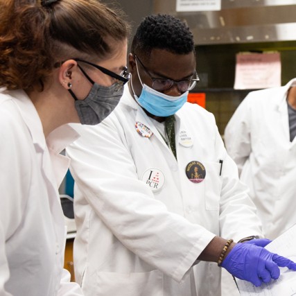 professor working with two students in a biology lab