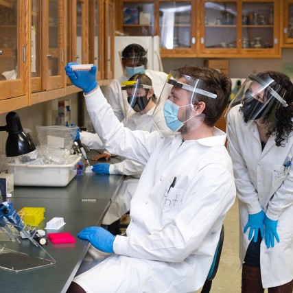 four researchers wearing PPE looking at a sample in a petri dish.