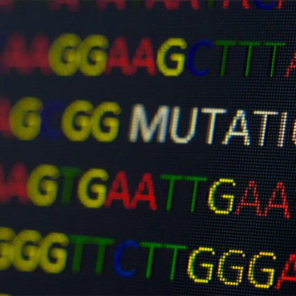 computer screen showing rows of the letters g, a, t, and c and the word mutation.