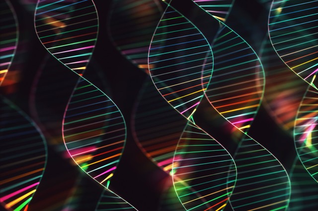 illustration of the twisted double helix of D N A strands.