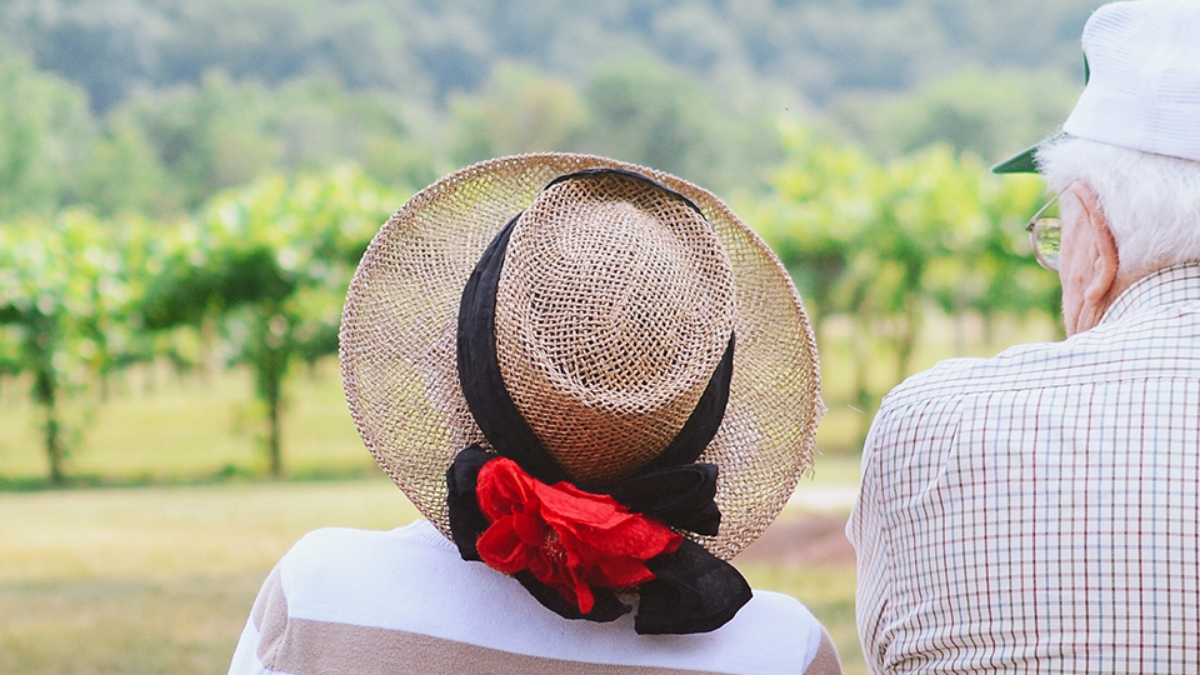 two older adults sitting on a bench looking at a vineyard.