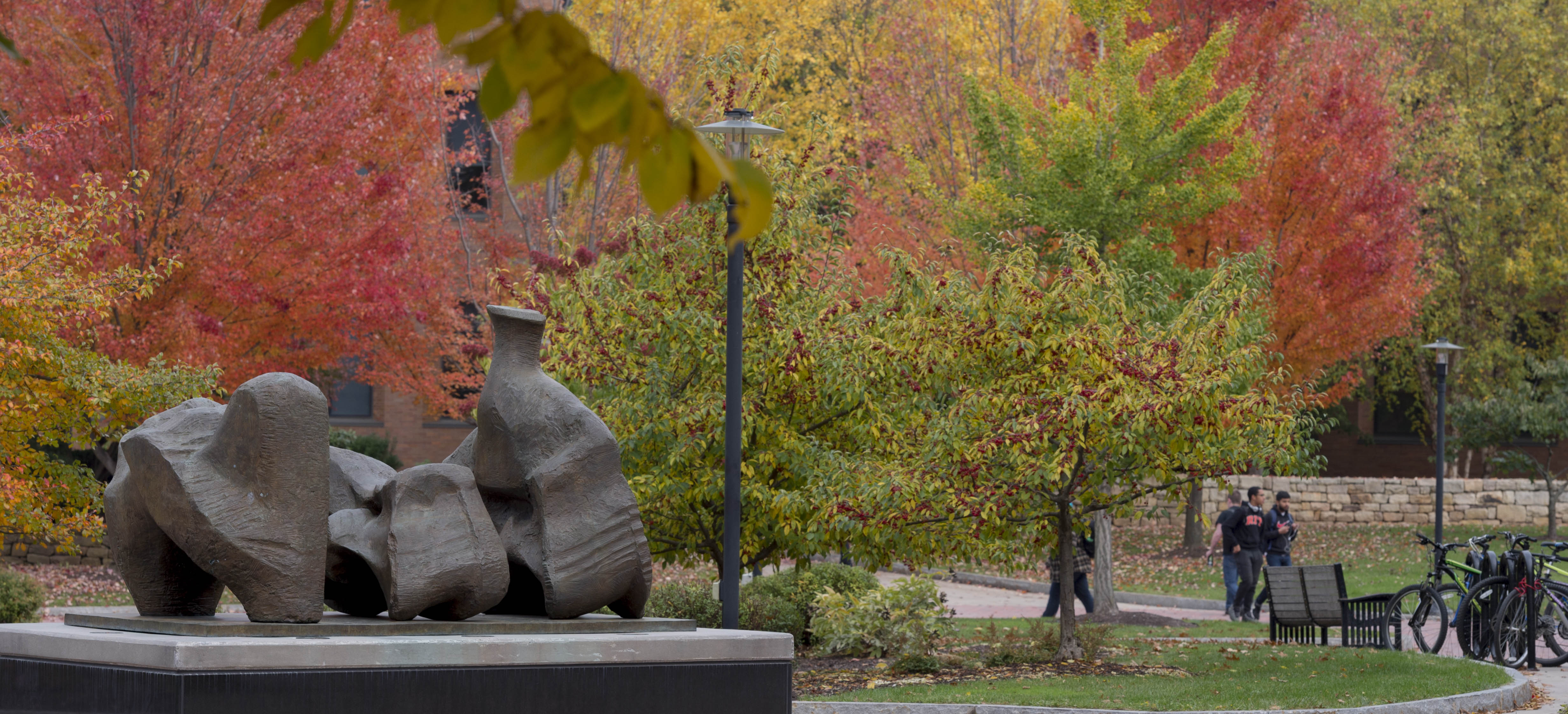 Fall trees on campus