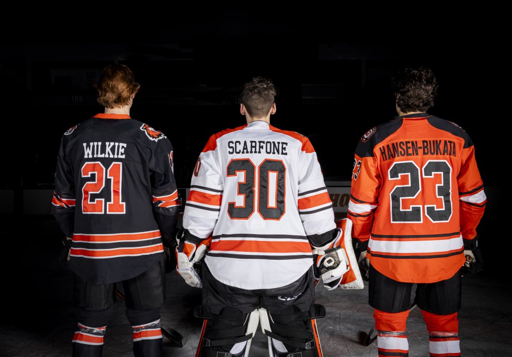 three mens hockey players facing away from the camera, 21, 30, and 23