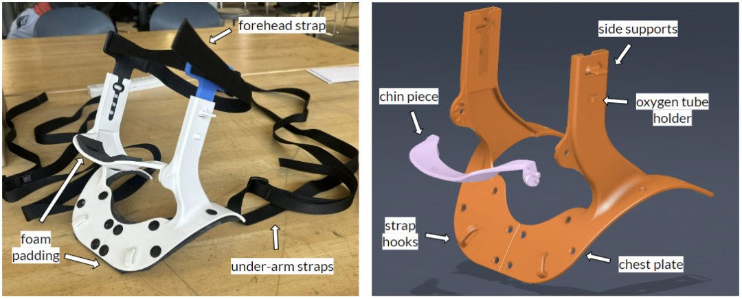 Brace Design
