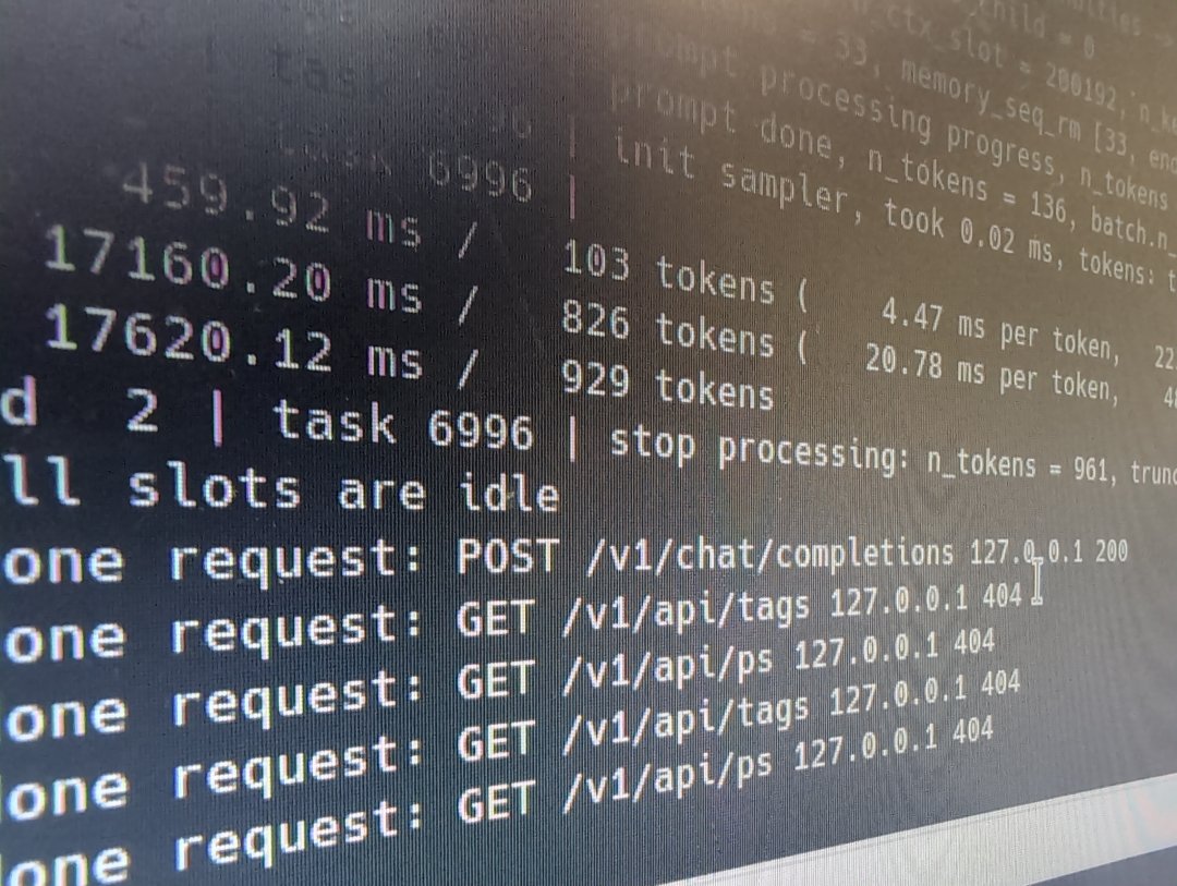 Black and White window of text from the computer telling the user that the ai model is running on the self hosted back end 