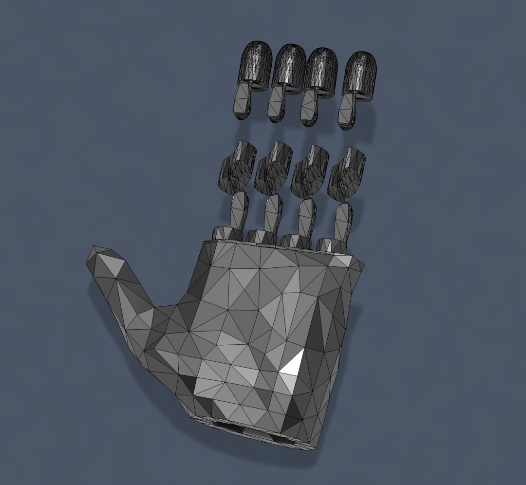Individual Finger Sections (Front View)