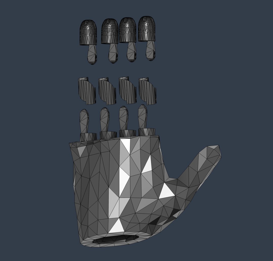 Individual Finger Sections (Back View)