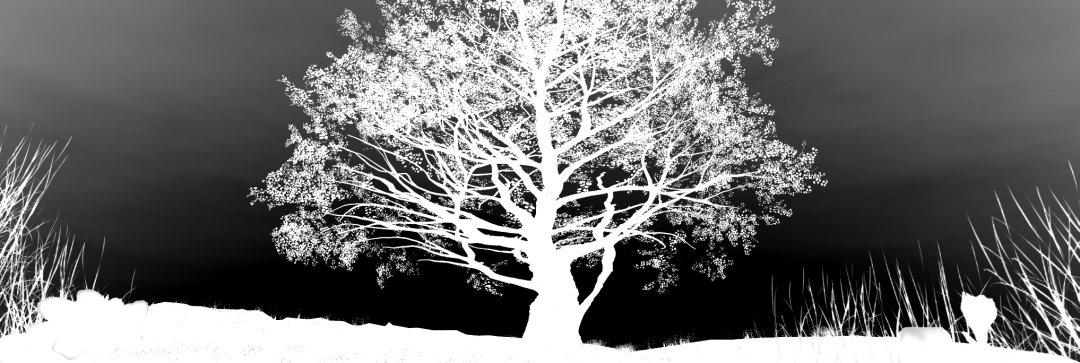 Black and white environment of a tree in a field