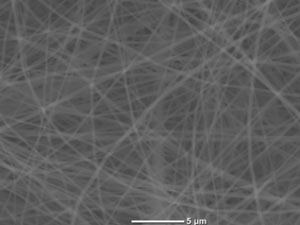 SEM image of bio-composites fibrous membrane