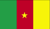 Flag of Cameroon.