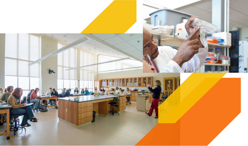 a collage of students listening to a lecture and people looking at something in a laboratory