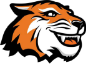 the RIT Tiger logo