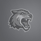 Photo of SG President