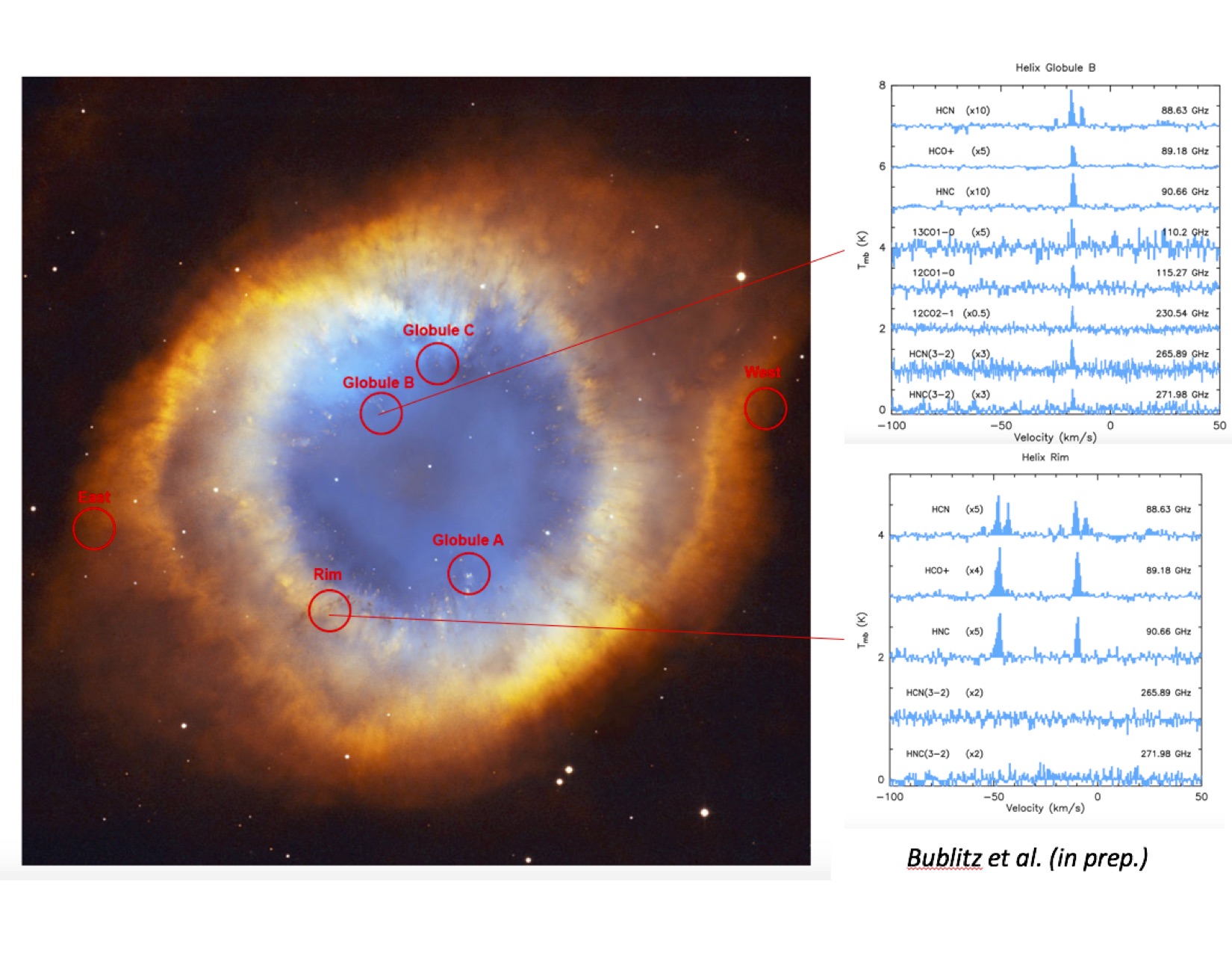 Hubble Space Telescope image of the Helix planetary nebula