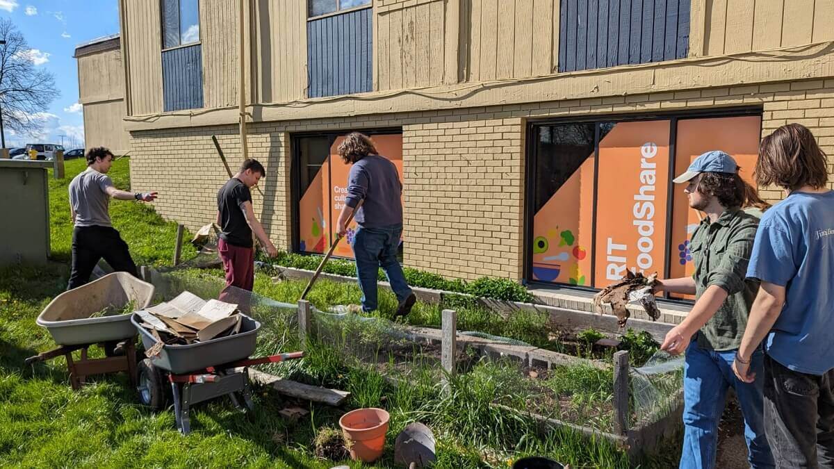 Student volunteers outside of FoodShare at RIT cleaning up the garden 