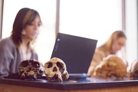 a photo of skulls in the foreground, students working in the background