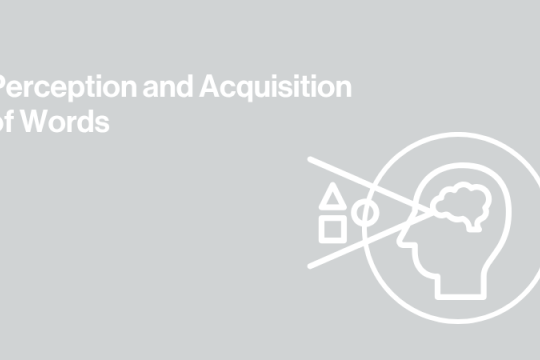 gray background image with icon of a brain and perception and text that says perception and aquisition of words