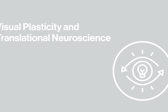 gray background image with icon an eye and text that says visual plasticity and translational neuroscience