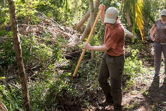 Man clearing a path with a rake at a nature preserve.