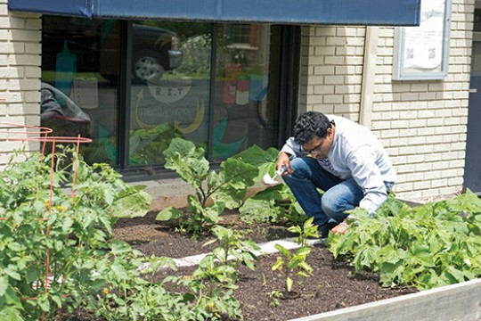 Person working in garden