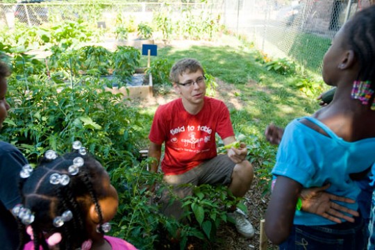 People working in garden