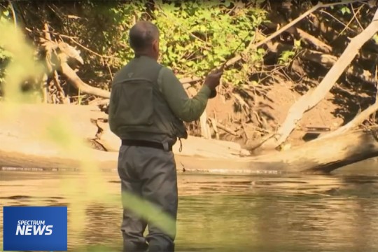 person fly fishing in a creek.