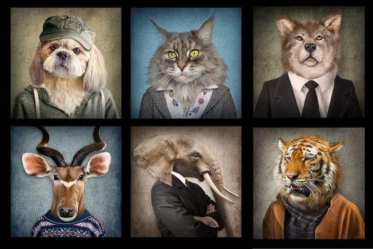 portraits of a dog, cat, wolf, gazelle, elephant, and tiger wearing human clothes.
