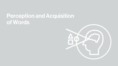gray background image with icon of a brain and perception and text that says perception and aquisition of words