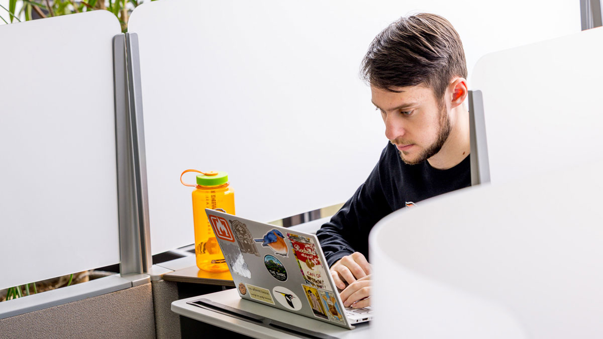 A student working in the study cubical