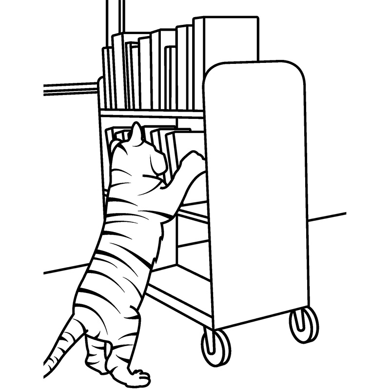 Spirit playing with a bookcart
