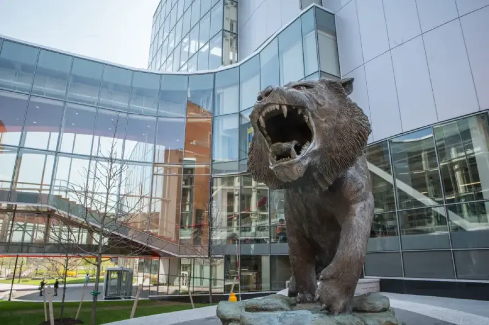 Front view of the tiger statue