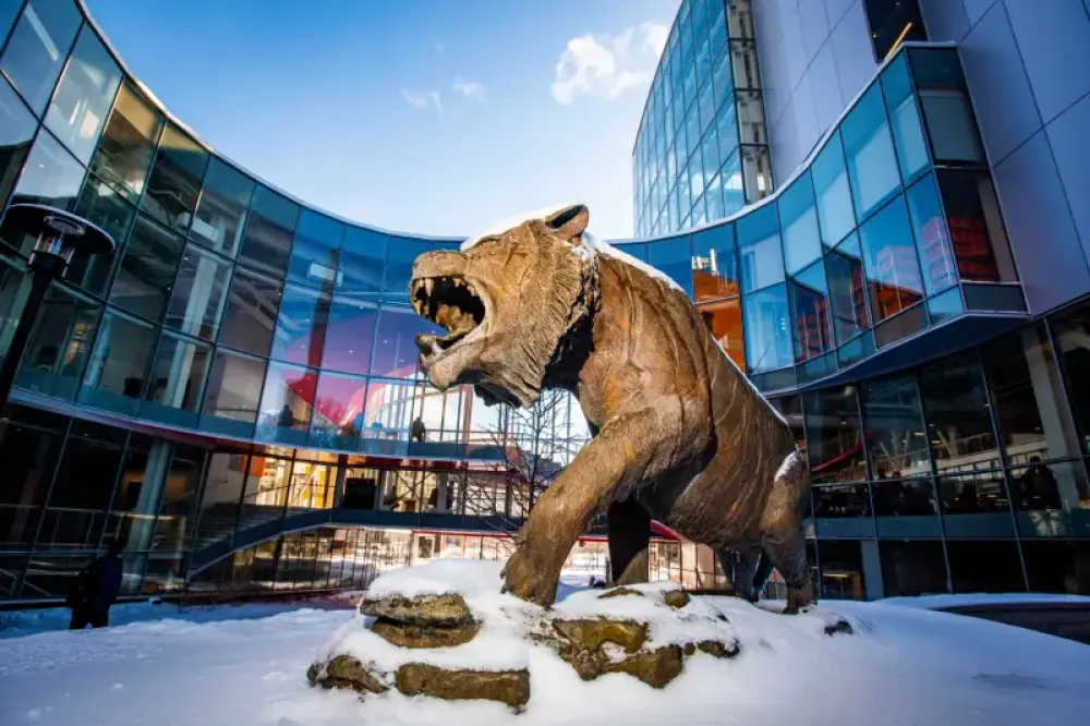 RIT Tiger in the winter