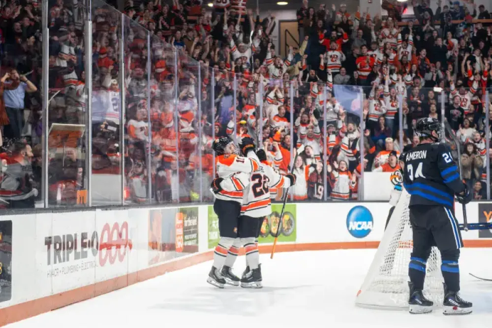 Hockey players celebrating a goal