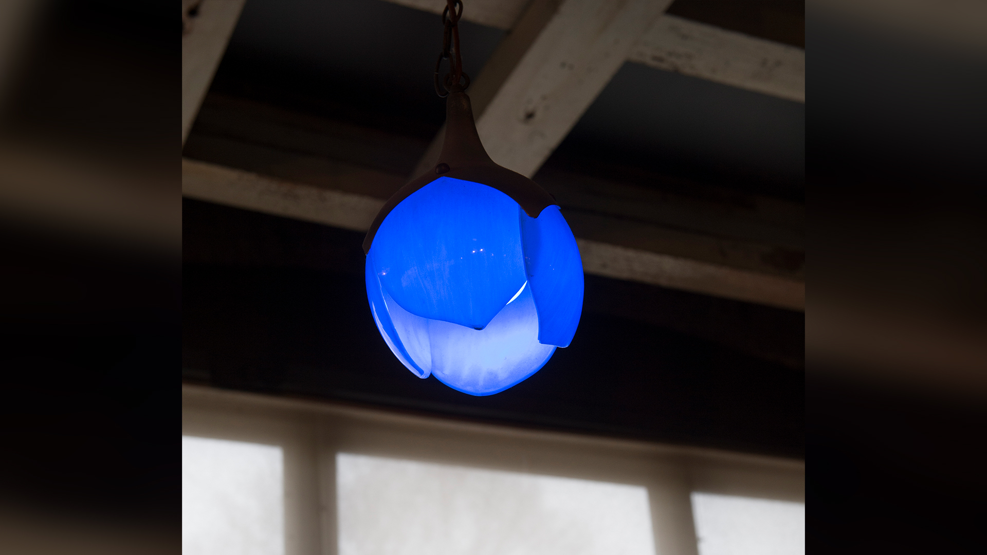 Blue light fixture hanging from ceiling shaped like bud with 4 overlapping petals