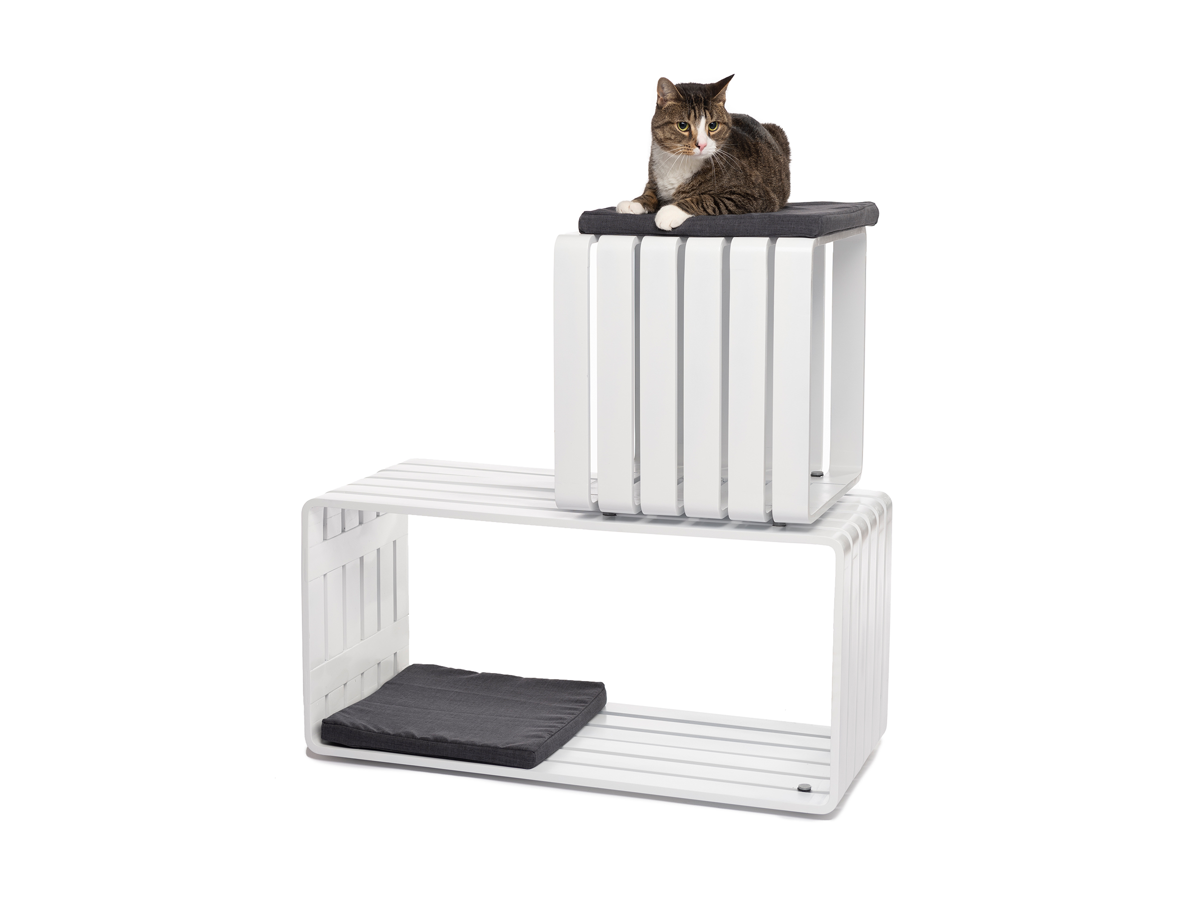 Slatted Cat Tower with cat