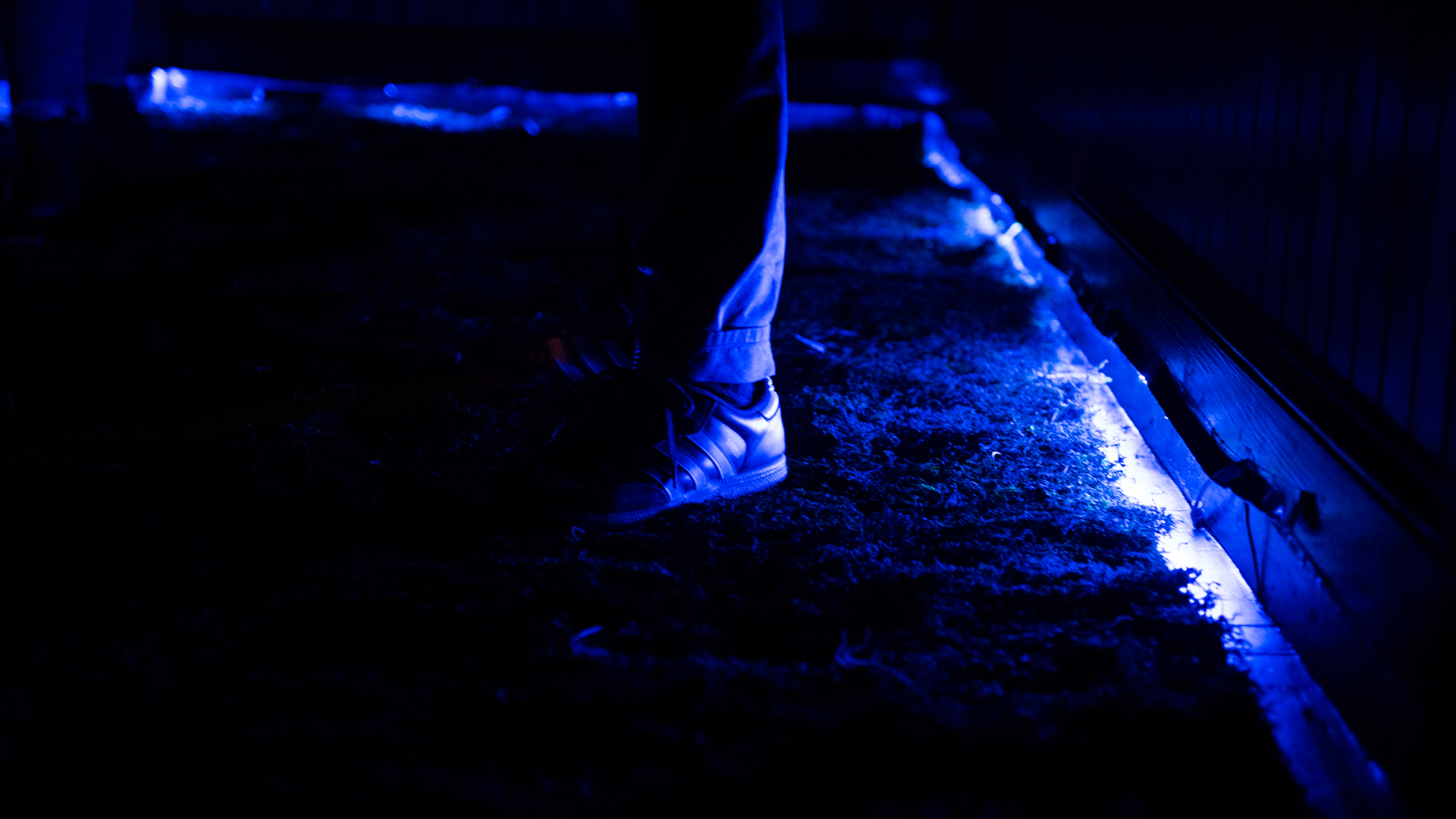 Close up shot of foot of someone standing illuminated by dark blue light along floor