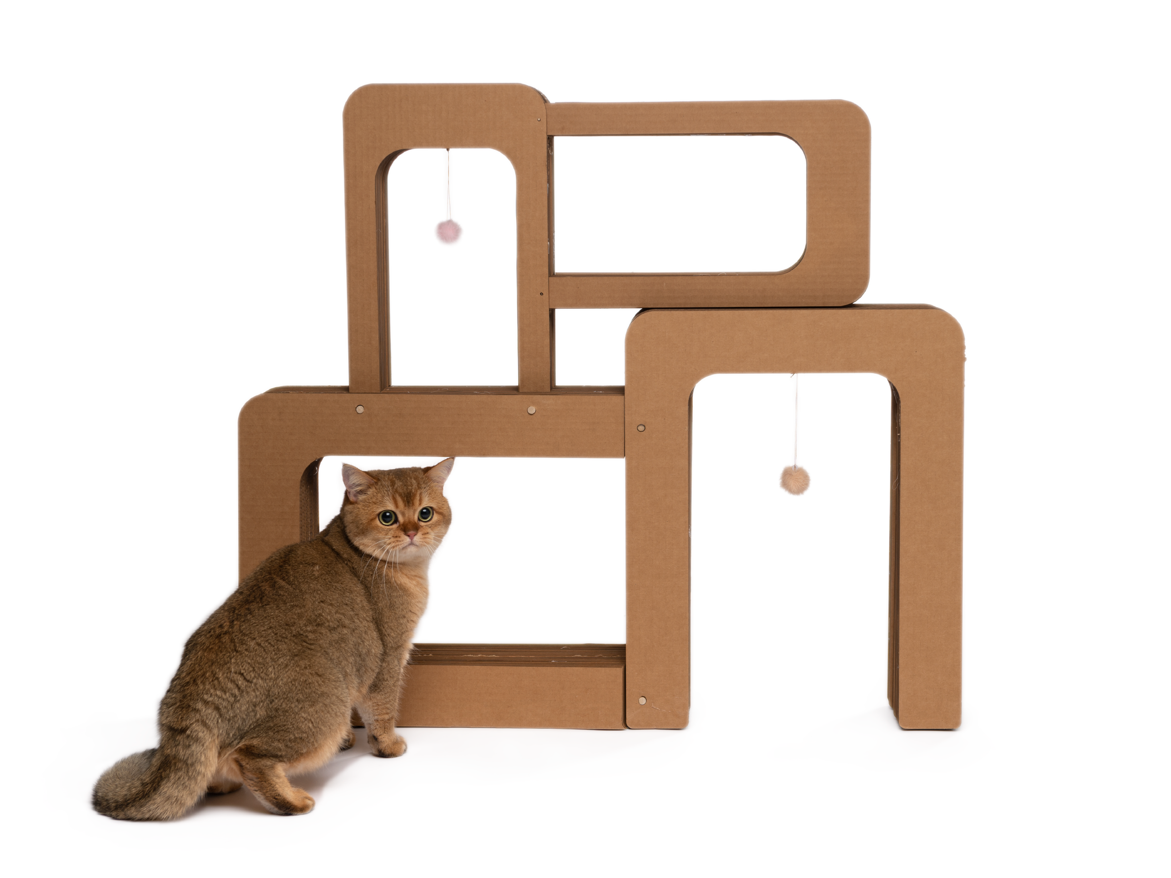 Scratch Tower with cat