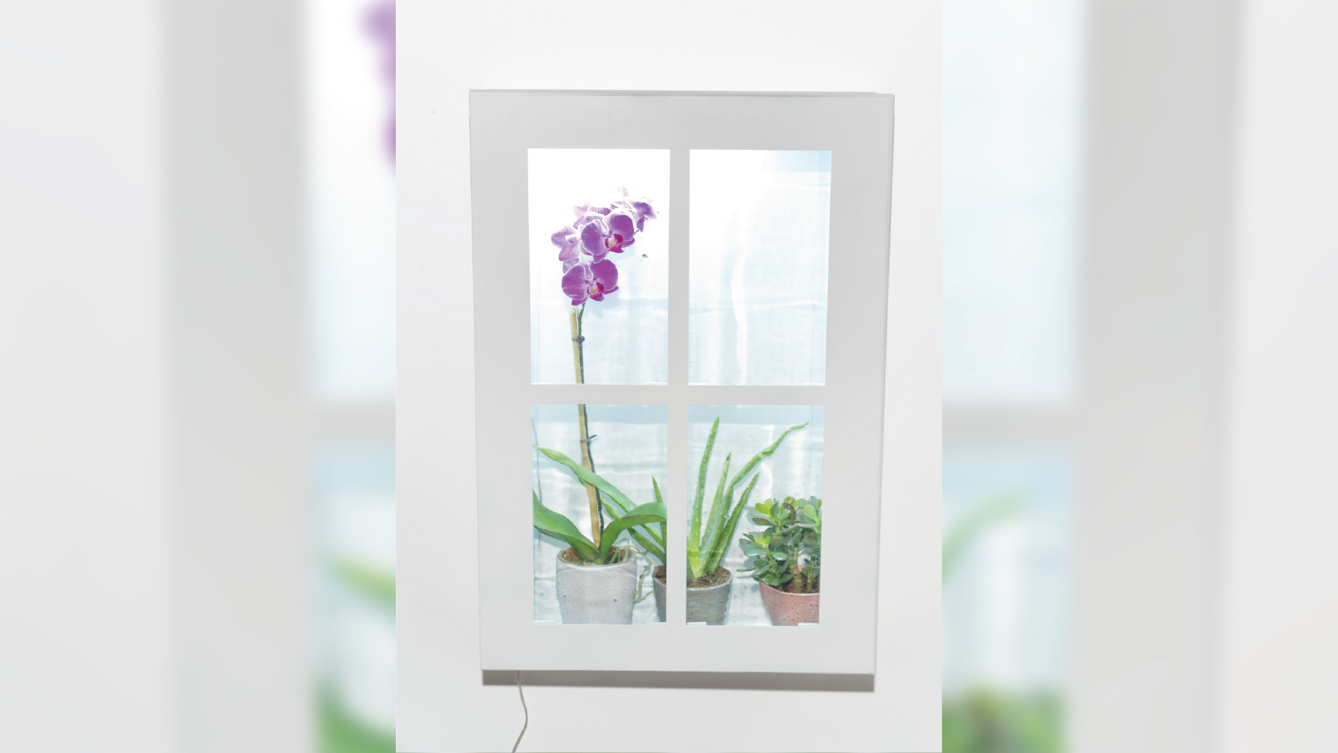 A frame fixed on the wall with a door resembling a window. Inside the frame there's a light source turned on, and plant vases with a big purple flower.