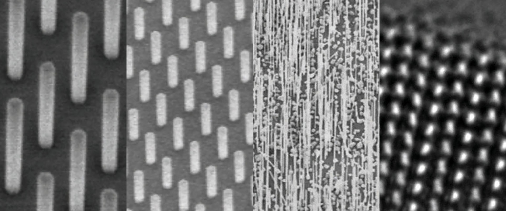 collage of four black and white images taken with an electron microscope.