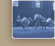lower right image showing Japanese Taiko drummers