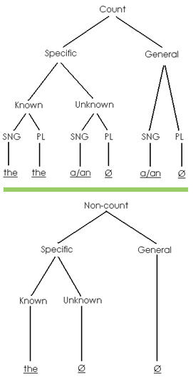 Two tree diagrams of articles, 1) count type specific and general, 2) non-count type specific and general