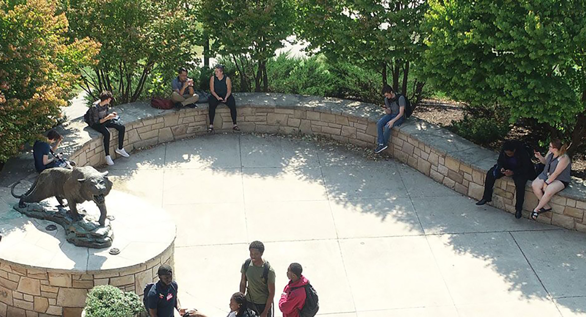 Arial photo of students sitting in the quad by the tiger statue