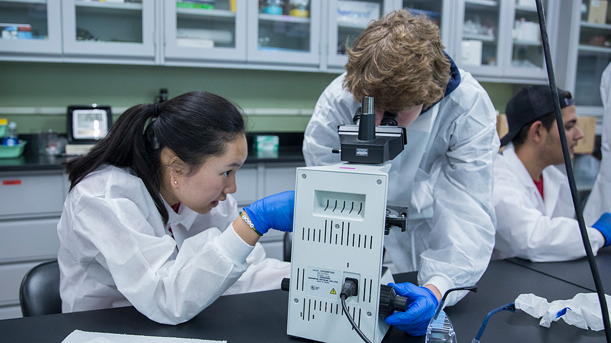 Two students wearing lab coats and gloves, using a microscope