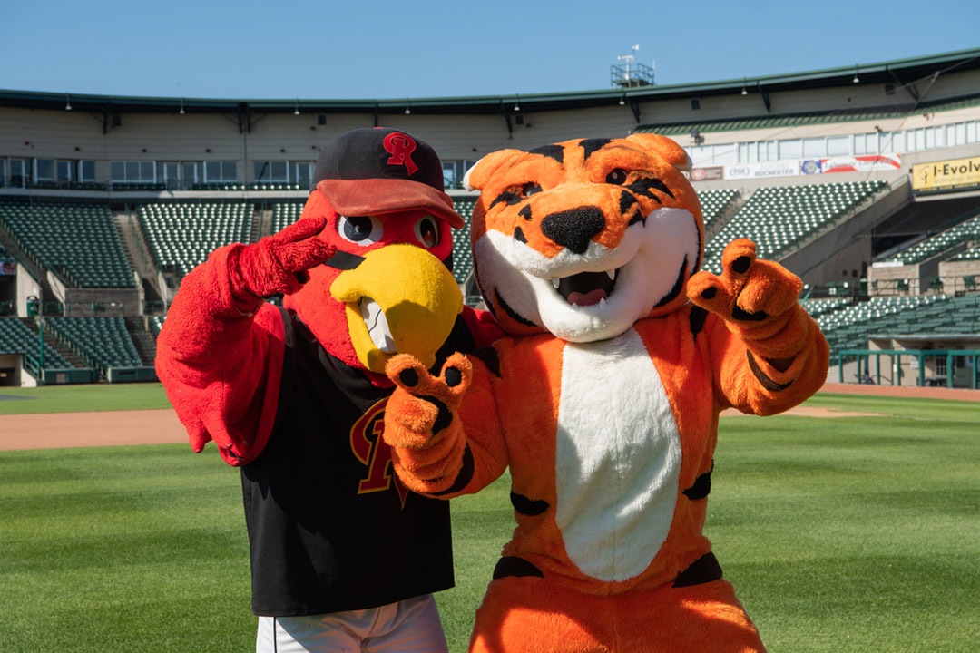 a red bird with a yellow beak mascot and a tiger mascot posing for a photo.